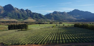 Vergelegen Estate launches Environmental Tour in Heritage Month