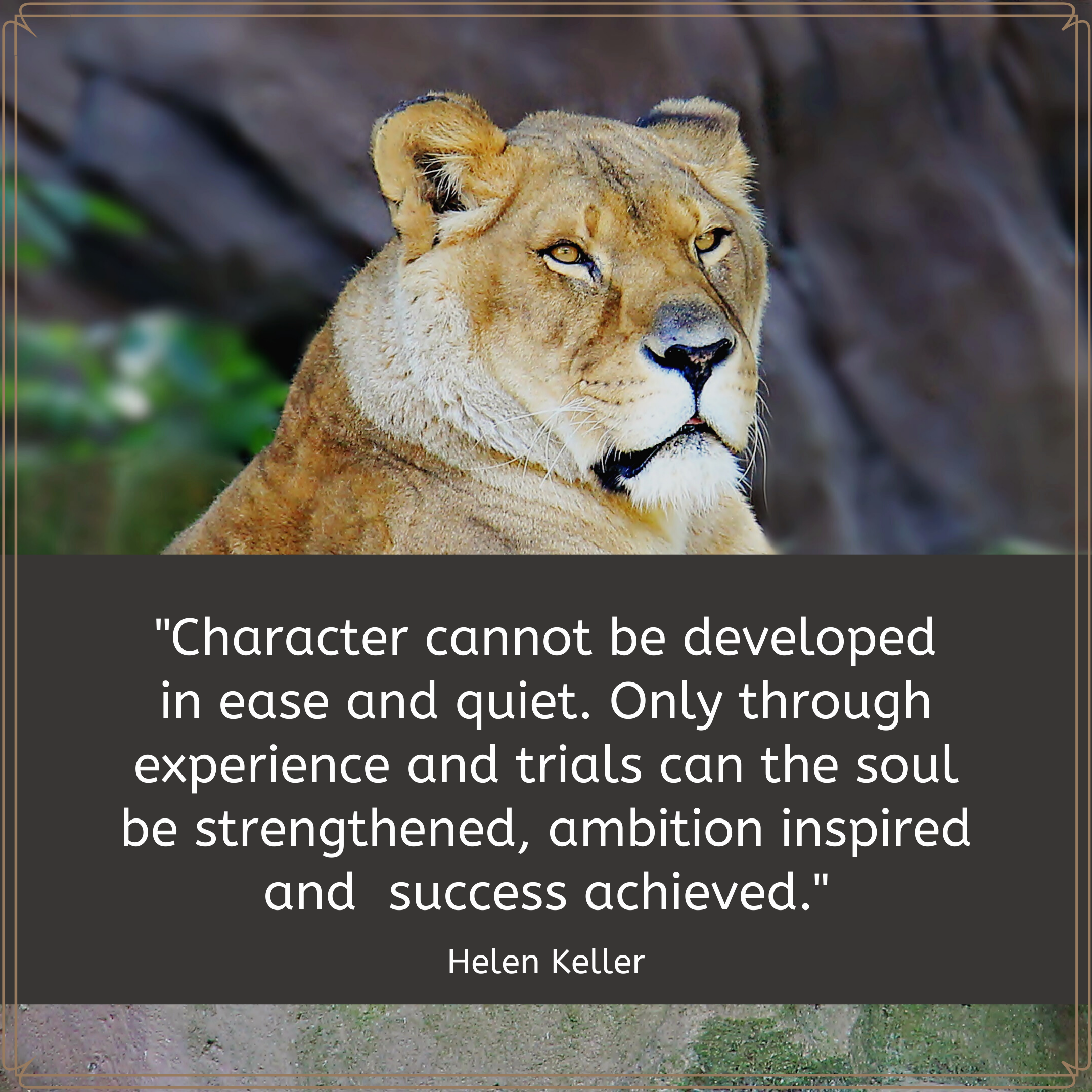 Resilient Daily Delight #31