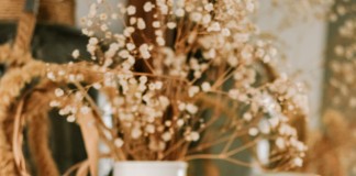 The Secret Anti-Ageing Ingredient you need to know now!